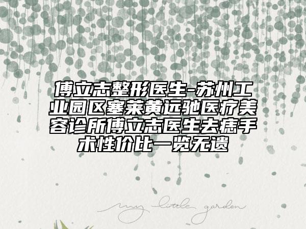 傅立志整形醫(yī)生-蘇州工業(yè)園區(qū)塞萊黃遠馳醫(yī)療美容診所傅立志醫(yī)生去痣手術性價比一覽無遺