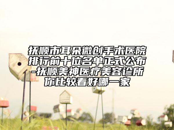 撫順市耳朵微創(chuàng)手術醫(yī)院排行前十位名單正式公布-撫順美神醫(yī)療美容診所你比較看好哪一家