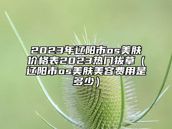 2023年遼陽(yáng)市os美膚價(jià)格表2023熱門(mén)拔草（遼陽(yáng)市os美膚美容費(fèi)用是多少）