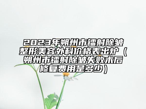 2023年朔州市鐳射除皺整形美容外科價(jià)格表出爐（朔州市鐳射除皺失敗術(shù)后修復(fù)費(fèi)用是多少）