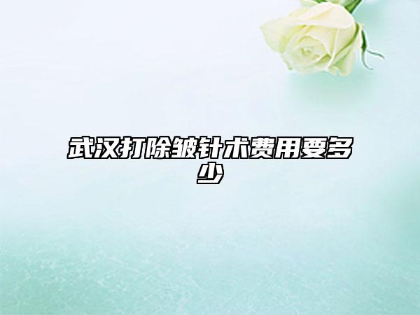 武漢打除皺針術(shù)費(fèi)用要多少