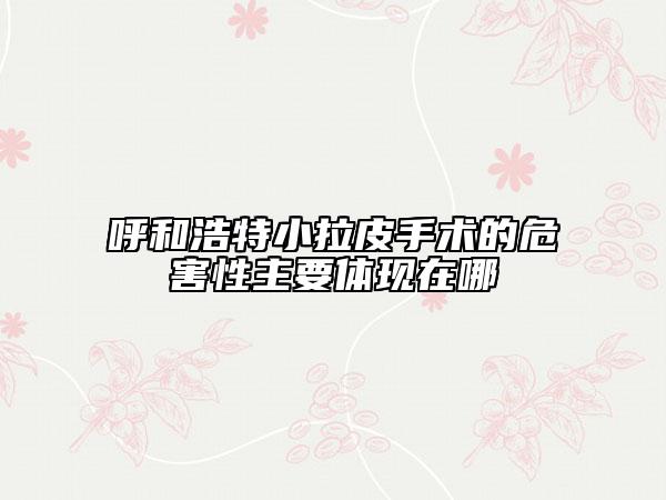 呼和浩特小拉皮手術(shù)的危害性主要體現(xiàn)在哪