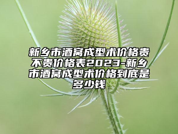 新鄉(xiāng)市酒窩成型術價格貴不貴價格表2023-新鄉(xiāng)市酒窩成型術價格到底是多少錢