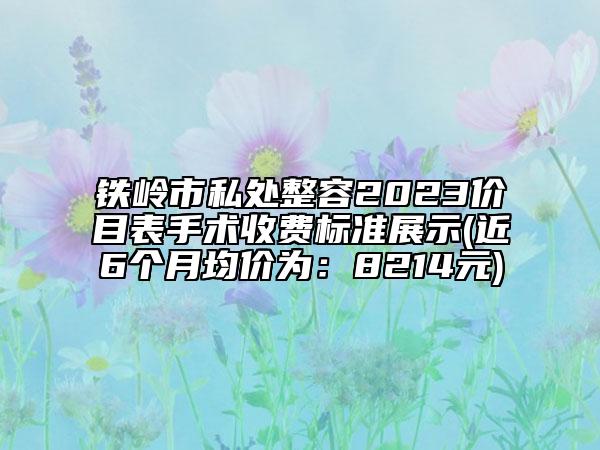 鐵嶺市私處整容2023價(jià)目表手術(shù)收費(fèi)標(biāo)準(zhǔn)展示(近6個(gè)月均價(jià)為：8214元)