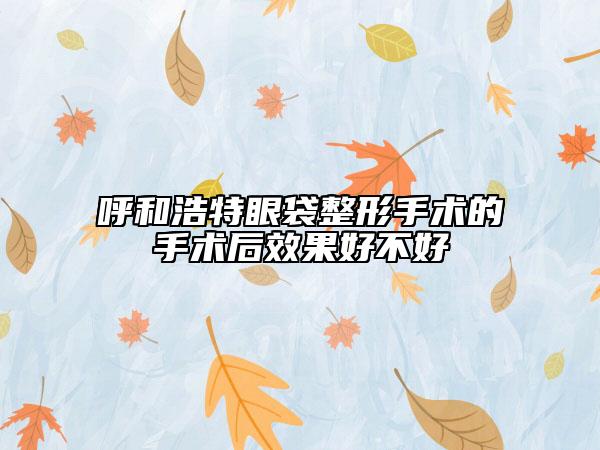 呼和浩特眼袋整形手術(shù)的手術(shù)后效果好不好