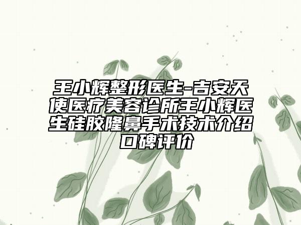 王小輝整形醫(yī)生-吉安天使醫(yī)療美容診所王小輝醫(yī)生硅膠隆鼻手術(shù)技術(shù)介紹 口碑評價
