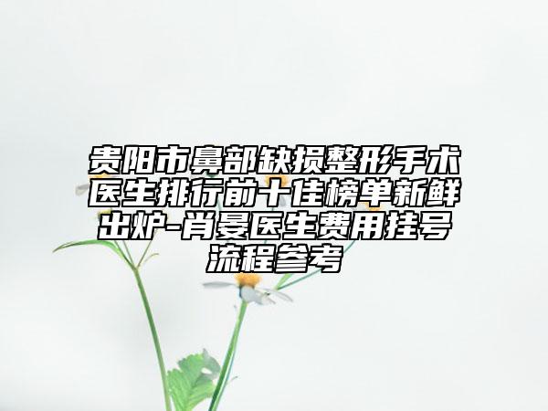貴陽市鼻部缺損整形手術(shù)醫(yī)生排行前十佳榜單新鮮出爐-肖晏醫(yī)生費用掛號流程參考