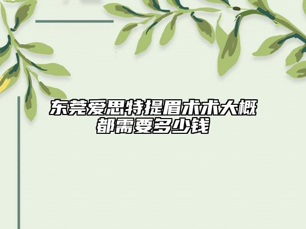 東莞愛思特提眉術(shù)術(shù)大概都需要多少錢