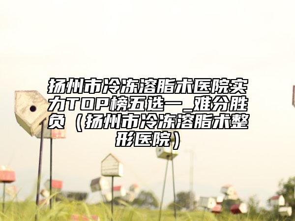 揚(yáng)州市冷凍溶脂術(shù)醫(yī)院實(shí)力TOP榜五選一_難分勝負(fù)（揚(yáng)州市冷凍溶脂術(shù)整形醫(yī)院）