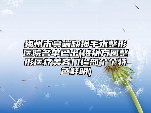 梅州市鼻端缺損手術(shù)整形醫(yī)院名單已出(梅州方圓整形醫(yī)療美容門診部個個特色鮮明)