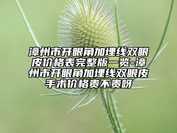 漳州市開(kāi)眼角加埋線(xiàn)雙眼皮價(jià)格表完整版一覽-漳州市開(kāi)眼角加埋線(xiàn)雙眼皮手術(shù)價(jià)格貴不貴呀