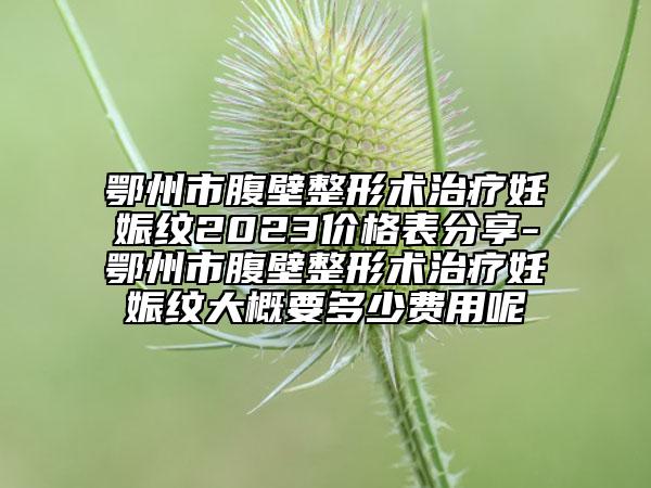 鄂州市腹壁整形術(shù)治療妊娠紋2023價格表分享-鄂州市腹壁整形術(shù)治療妊娠紋大概要多少費用呢