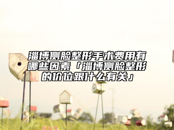 淄博側(cè)臉整形手術(shù)費用有哪些因素「淄博側(cè)臉整形的價位跟什么有關(guān)」