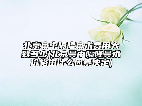 北京鼻中隔隆鼻術(shù)費(fèi)用大致多少(北京鼻中隔隆鼻術(shù)價(jià)格由什么因素決定)
