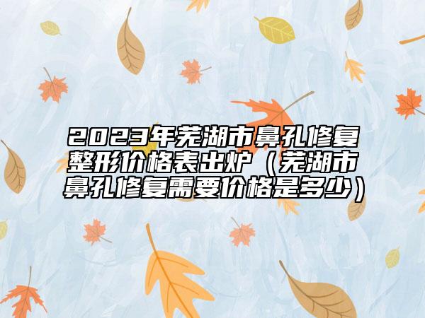 2023年蕪湖市鼻孔修復(fù)整形價(jià)格表出爐（蕪湖市鼻孔修復(fù)需要價(jià)格是多少）