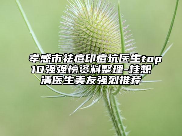 孝感市祛痘印痘坑醫(yī)生top10強強榜資料整理-桂想清醫(yī)生美友強烈推薦