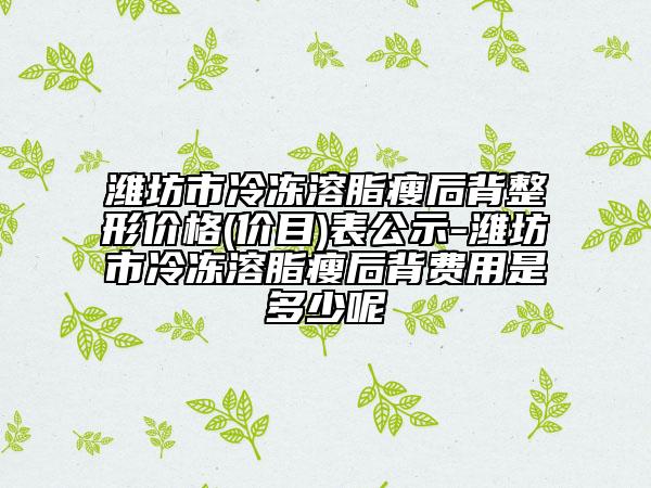 濰坊市冷凍溶脂瘦后背整形價(jià)格(價(jià)目)表公示-濰坊市冷凍溶脂瘦后背費(fèi)用是多少呢