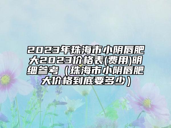 2023年珠海市小陰唇肥大2023價格表(費(fèi)用)明細(xì)參考（珠海市小陰唇肥大價格到底要多少）