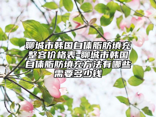聊城市韓國自體脂肪填充整容價(jià)格表-聊城市韓國自體脂肪填充方法有哪些需要多少錢
