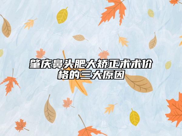 肇慶鼻頭肥大矯正術(shù)術(shù)價格的三大原因
