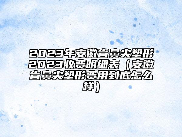 2023年安徽省鼻尖塑形2023收費(fèi)明細(xì)表（安徽省鼻尖塑形費(fèi)用到底怎么樣）