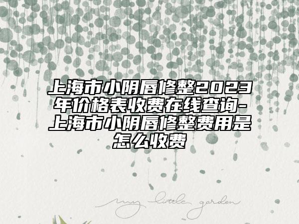 上海市小陰唇修整2023年價格表收費在線查詢-上海市小陰唇修整費用是怎么收費