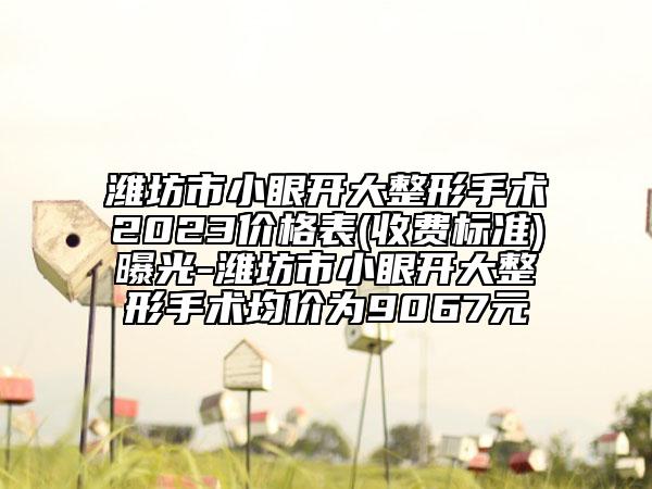 濰坊市小眼開大整形手術(shù)2023價(jià)格表(收費(fèi)標(biāo)準(zhǔn))曝光-濰坊市小眼開大整形手術(shù)均價(jià)為9067元