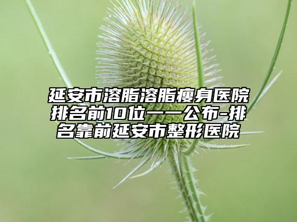 延安市溶脂溶脂瘦身醫(yī)院排名前10位一一公布-排名靠前延安市整形醫(yī)院