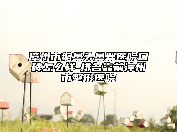 漳州市縮鼻頭鼻翼醫(yī)院口碑怎么樣-排名靠前漳州市整形醫(yī)院