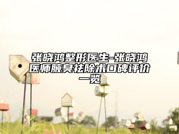 張曉鴻整形醫(yī)生-張曉鴻醫(yī)師腋臭祛除術(shù)口碑評價一覽