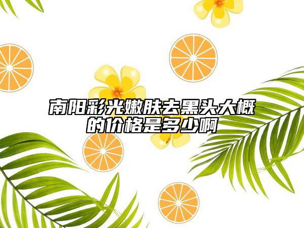 南陽彩光嫩膚去黑頭大概的價格是多少啊