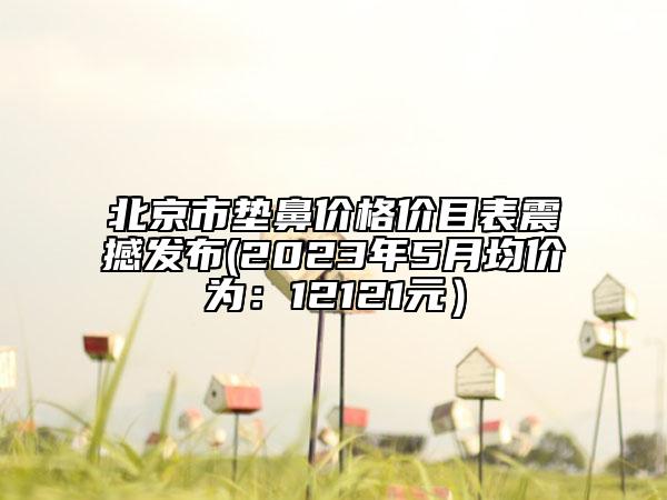 北京市墊鼻價格價目表震撼發(fā)布(2023年5月均價為：12121元）