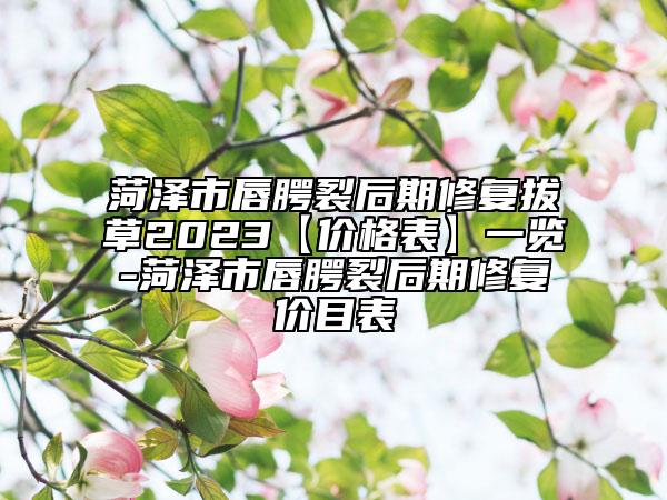 菏澤市唇腭裂后期修復(fù)拔草2023【價(jià)格表】一覽-菏澤市唇腭裂后期修復(fù)價(jià)目表