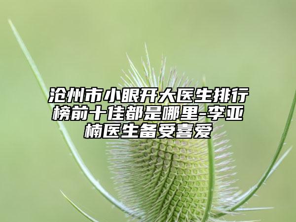 滄州市小眼開(kāi)大醫(yī)生排行榜前十佳都是哪里-李亞楠醫(yī)生備受喜愛(ài)