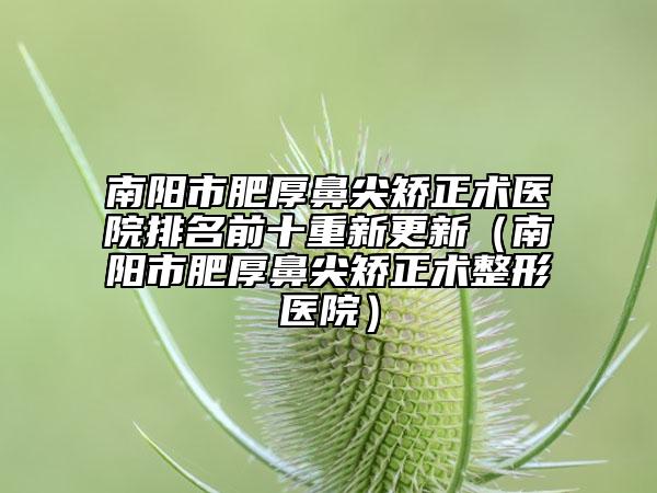 南陽市肥厚鼻尖矯正術(shù)醫(yī)院排名前十重新更新（南陽市肥厚鼻尖矯正術(shù)整形醫(yī)院）