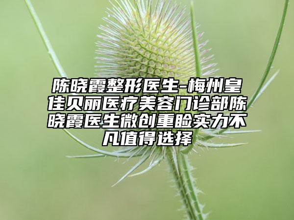 陳曉霞整形醫(yī)生-梅州皇佳貝麗醫(yī)療美容門診部陳曉霞醫(yī)生微創(chuàng)重瞼實力不凡值得選擇
