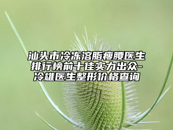 汕頭市冷凍溶脂瘦腰醫(yī)生排行榜前十佳實(shí)力出眾-冷雄醫(yī)生整形價(jià)格查詢