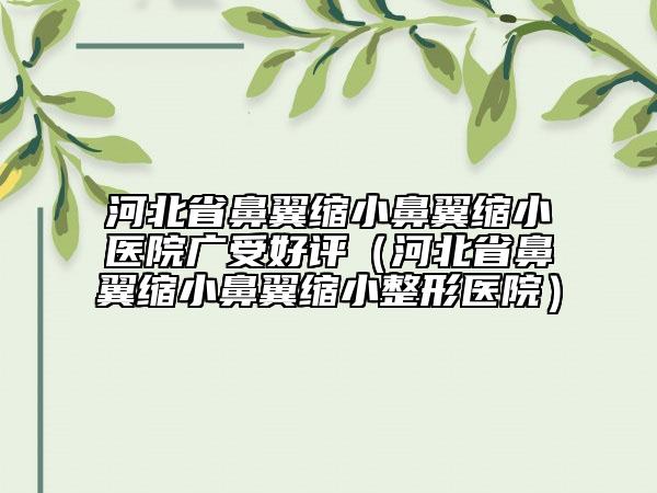河北省鼻翼縮小鼻翼縮小醫(yī)院廣受好評(píng)（河北省鼻翼縮小鼻翼縮小整形醫(yī)院）