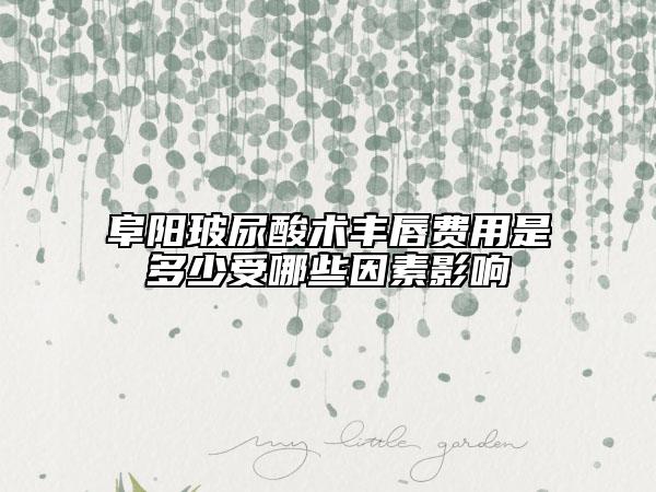 阜陽玻尿酸術(shù)豐唇費用是多少受哪些因素影響