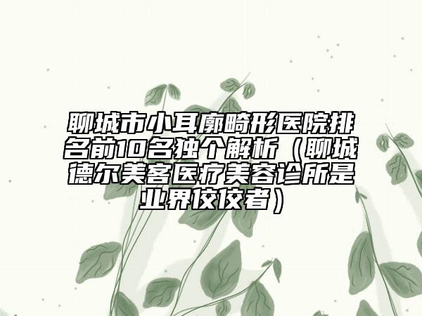 聊城市小耳廓畸形醫(yī)院排名前10名獨個解析（聊城德爾美客醫(yī)療美容診所是業(yè)界佼佼者）