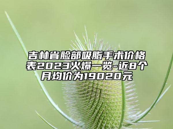 吉林省臉部吸脂手術價格表2023火爆一覽-近8個月均價為19020元