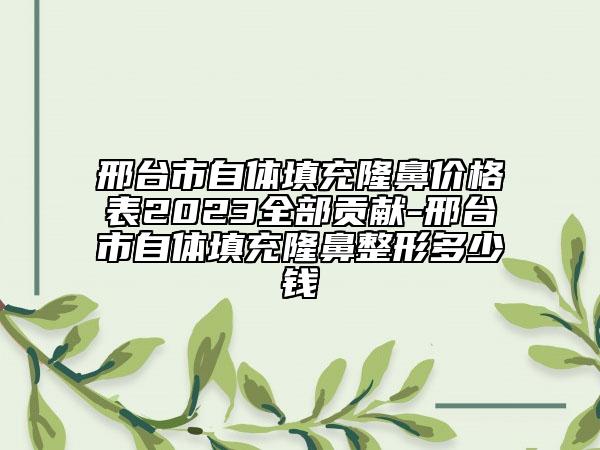 邢臺(tái)市自體填充隆鼻價(jià)格表2023全部貢獻(xiàn)-邢臺(tái)市自體填充隆鼻整形多少錢