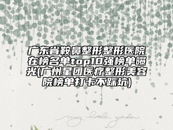 廣東省鞍鼻整形整形醫(yī)院在榜名單top10強(qiáng)榜單曝光(廣州星團(tuán)醫(yī)療整形美容院榜單打卡不踩坑)