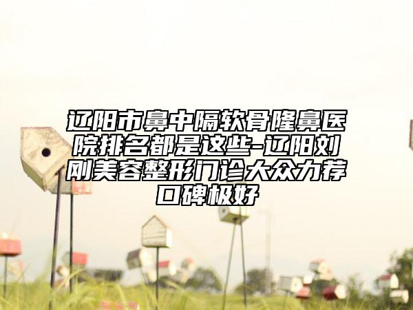 遼陽(yáng)市鼻中隔軟骨隆鼻醫(yī)院排名都是這些-遼陽(yáng)劉剛美容整形門(mén)診大眾力薦口碑極好
