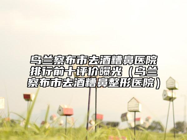 烏蘭察布市去酒糟鼻醫(yī)院排行前十評(píng)價(jià)曝光（烏蘭察布市去酒糟鼻整形醫(yī)院）