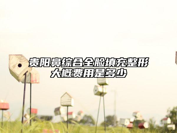 貴陽鼻綜合全臉填充整形大概費(fèi)用是多少