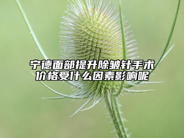 寧德面部提升除皺針手術(shù)價(jià)格受什么因素影響呢
