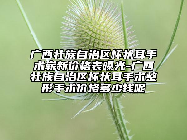 廣西壯族自治區(qū)杯狀耳手術(shù)嶄新價(jià)格表曝光-廣西壯族自治區(qū)杯狀耳手術(shù)整形手術(shù)價(jià)格多少錢呢