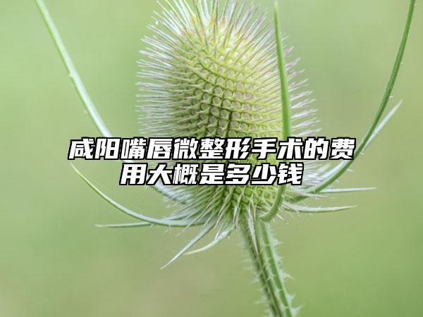 咸陽嘴唇微整形手術(shù)的費(fèi)用大概是多少錢
