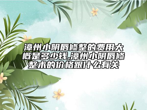 漳州小陰唇修整的費用大概是多少錢,漳州小陰唇修整術(shù)的價格跟什么有關(guān)